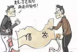 巴彦淖尔市为什么选择专业追讨公司来处理您的债务纠纷？